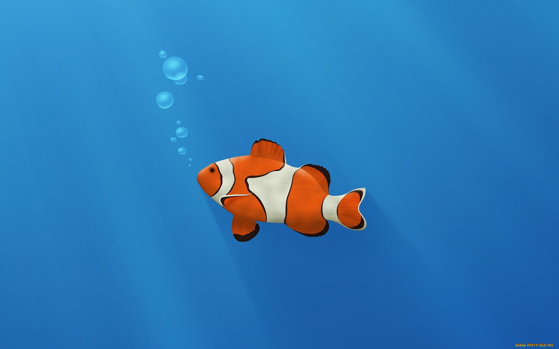 3, , animals, 